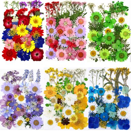 Dried Flowers Pressed Flowers Stickers Style 1