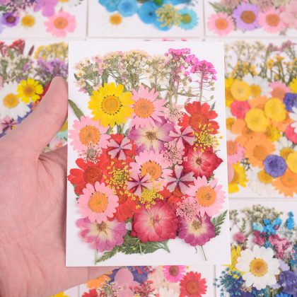 40Pcs/Bag Colorful Flower Field Dried Flowers Natural Plant
