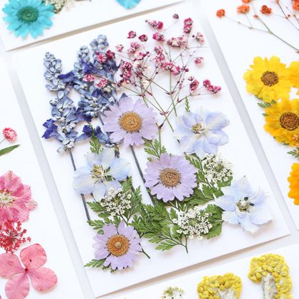 Real Pressed Dried Flower Dry Plant Stickers for DIY